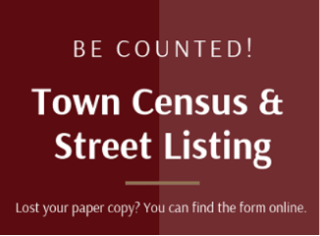 town census graphic