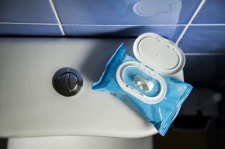 Wipes and toilet