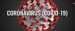 image of the corona virus