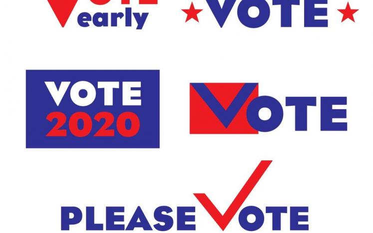 vote graphic 2020