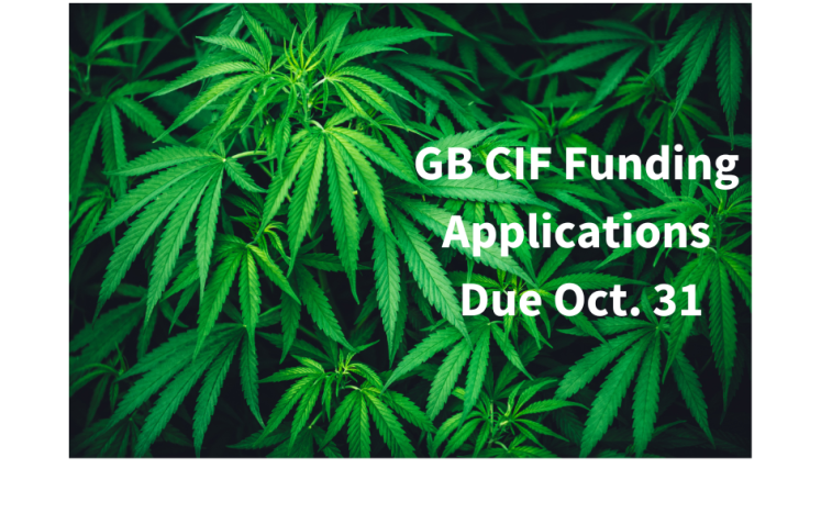 info graphic with pot plant and CIF Deadline notice