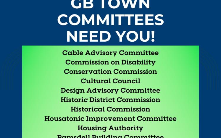 graphic for open town committees