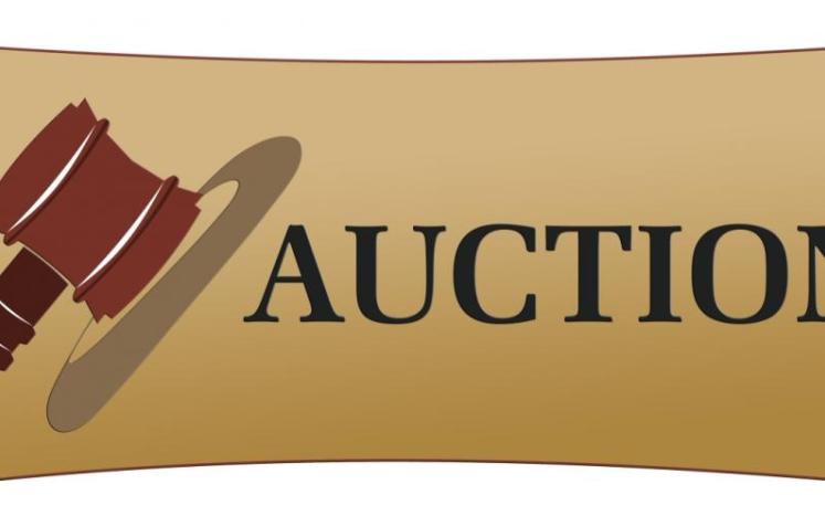 Public Auction April 19, 2022