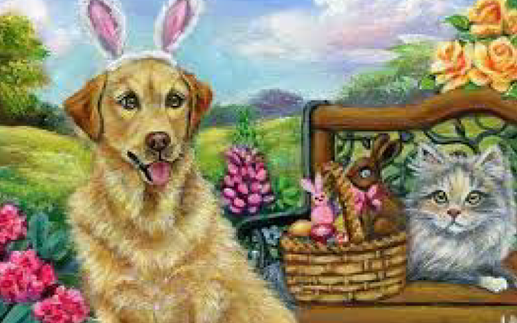 Easter themed Dog and Cat photo